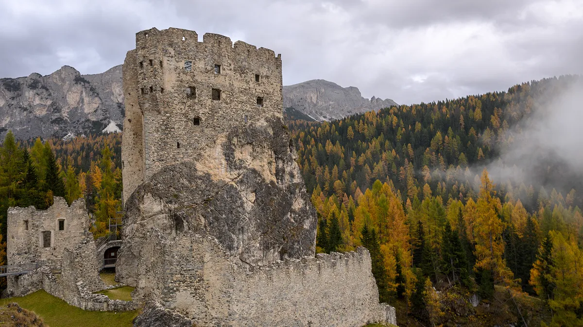 Ruined stone castle tower above an autumn larch forest with mist, evoking the high fantasy setting of a classic book series