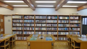 Library fiction shelves lined with novels, a quiet setting for planning a sarah j maas reading order across three series